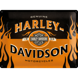 Targa in Metallo - Harley-Davidson - 1903 Logo Orange