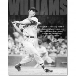 Targa in Metallo - Ted Williams - Baseball