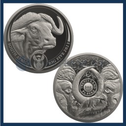 20 Platinum Rand Proof (1 oz) - Buffalo - South Africa - 2023