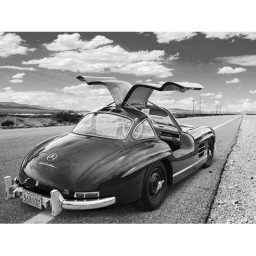 Coast to Coast Albuquerque - Mercedes 300 SL Gullwing - Fine art canvas