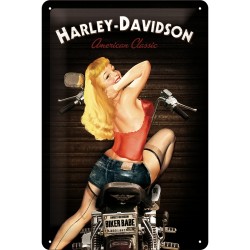 Targa in Metallo - Harley-Davidson - American Classic